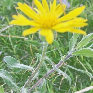 Meet your Posher, Jerida